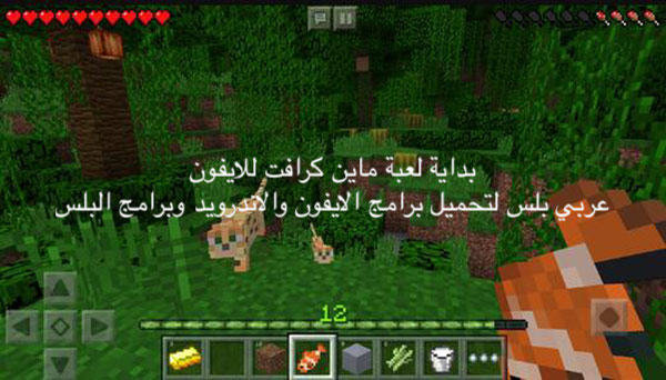 Minecraft game for iphone